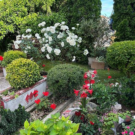 Green Oasis Apartman Kotor Kültér fotó