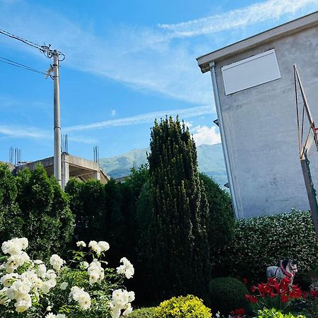 Green Oasis Apartman Kotor Kültér fotó