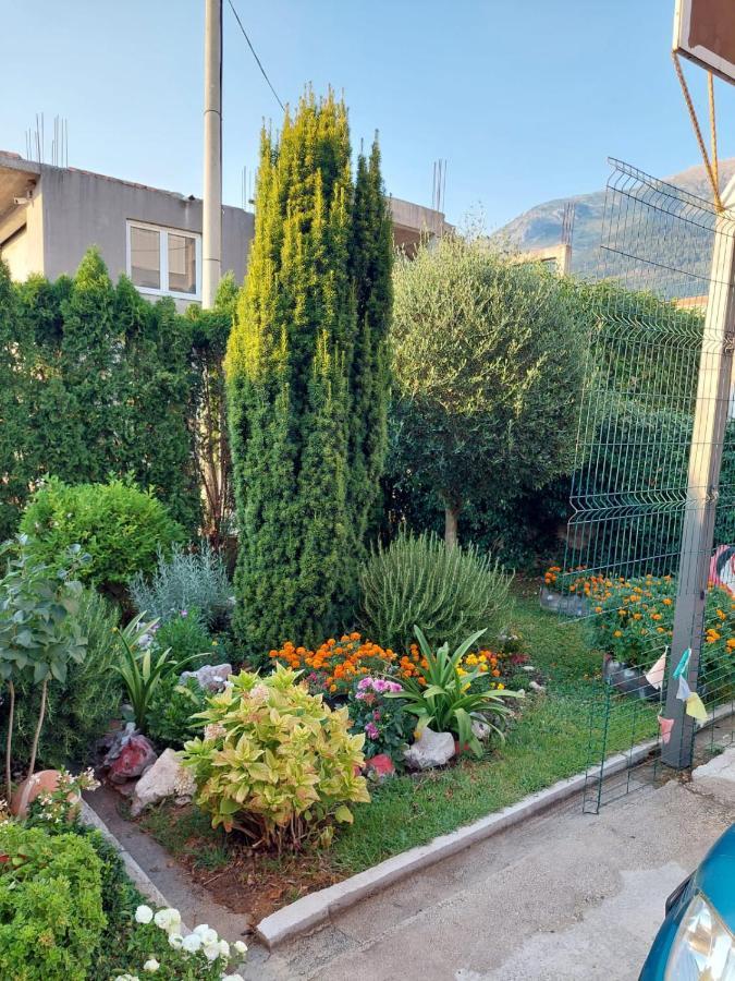 Green Oasis Apartman Kotor Kültér fotó