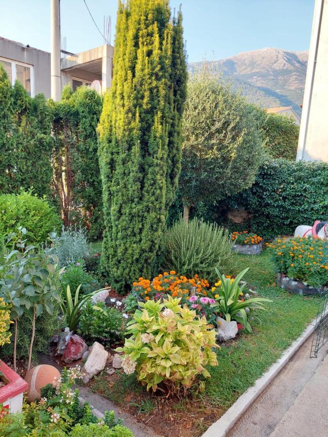 Green Oasis Apartman Kotor Kültér fotó