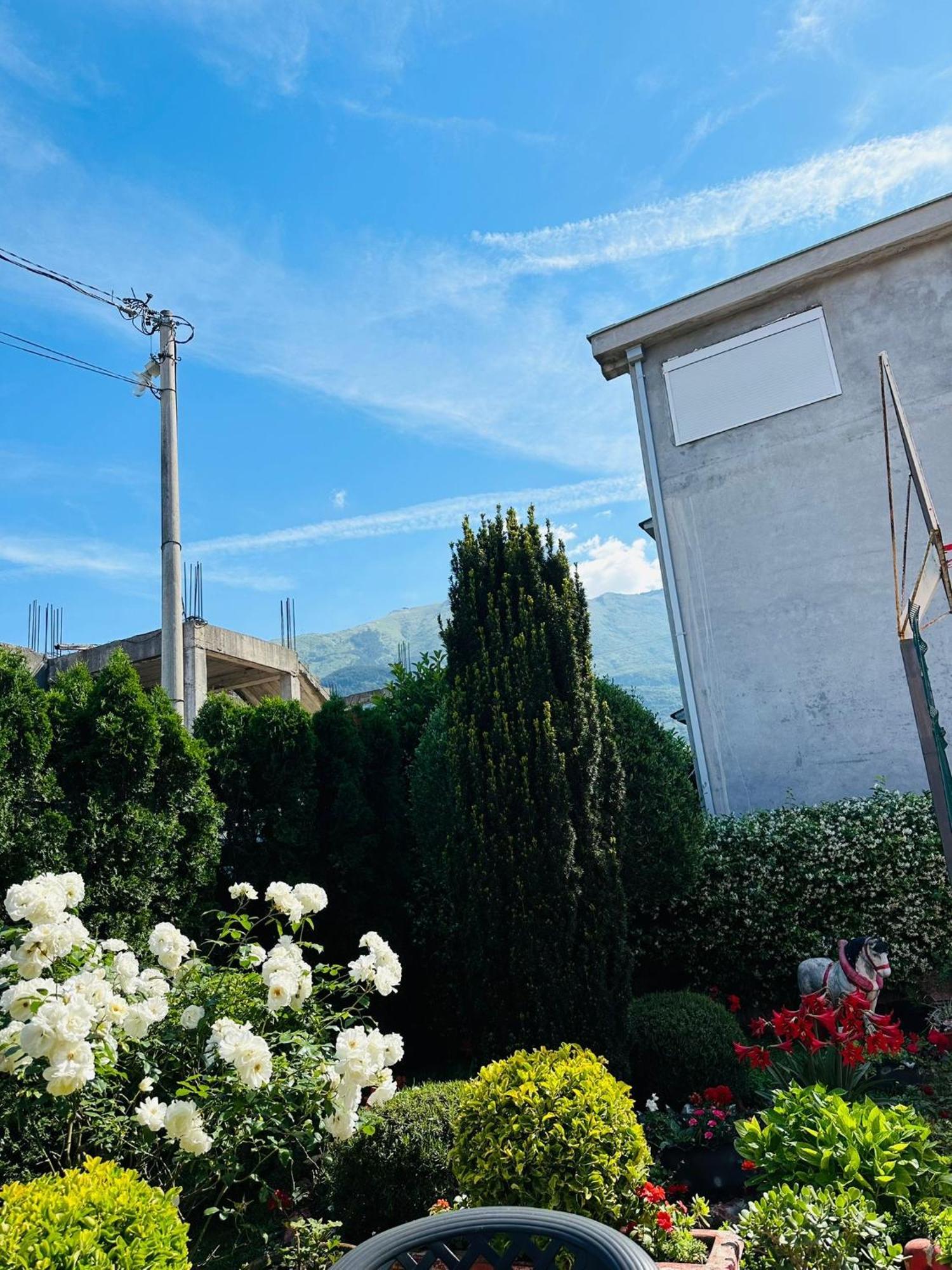 Green Oasis Apartman Kotor Kültér fotó