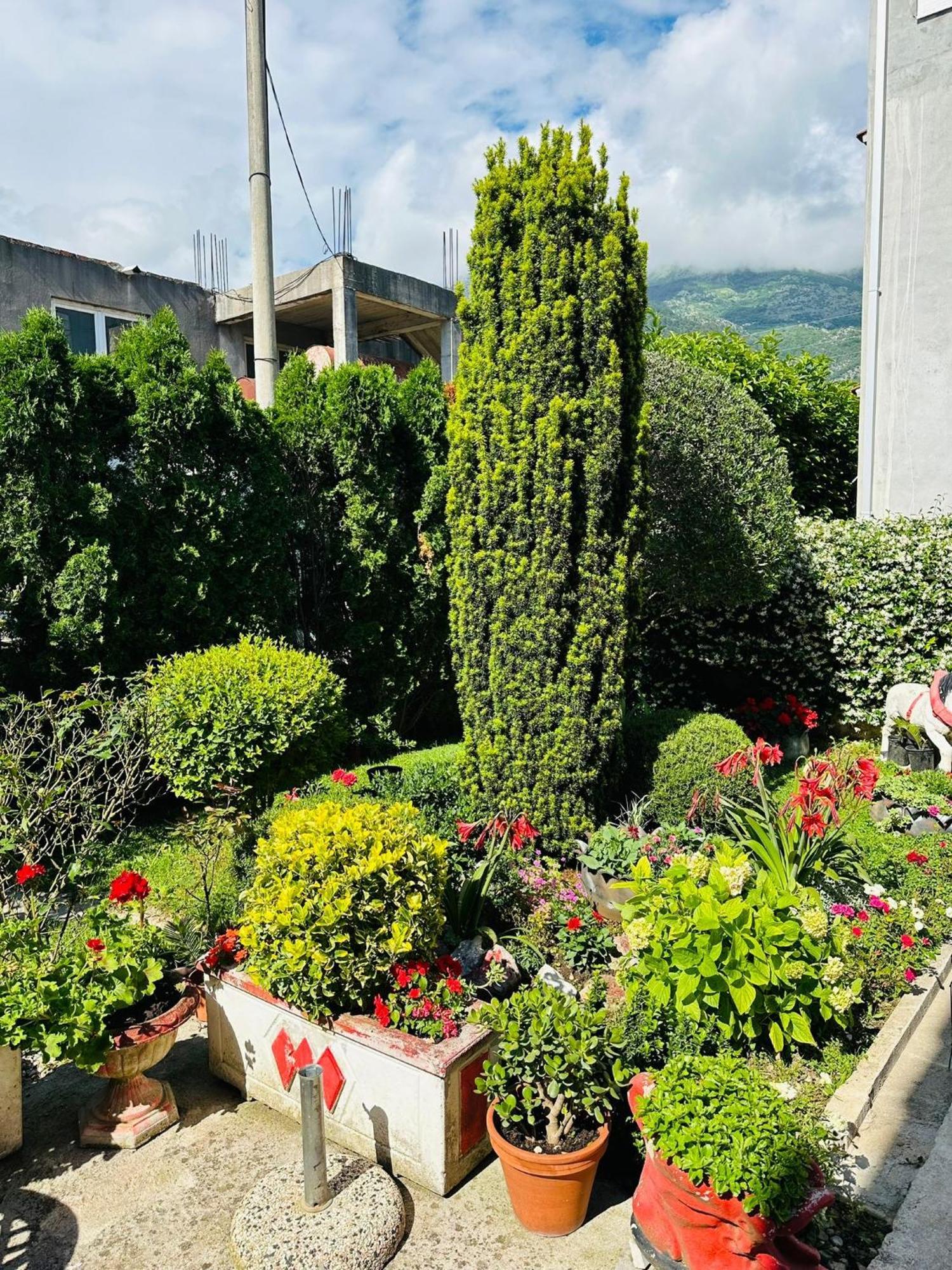 Green Oasis Apartman Kotor Kültér fotó